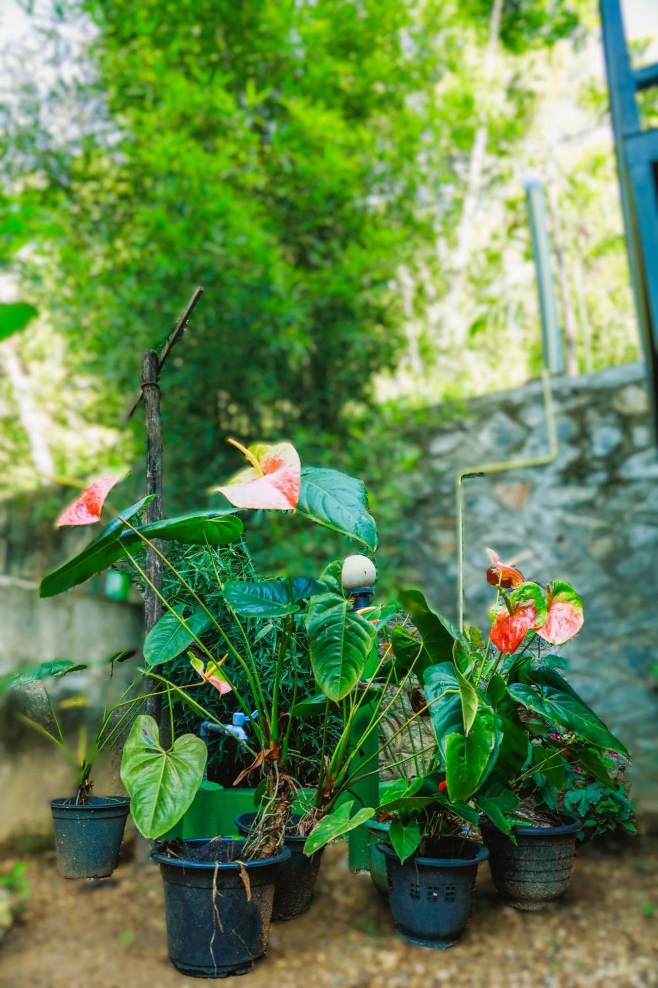Dinaro Guest Hotel เอลลา ภายนอก รูปภาพ