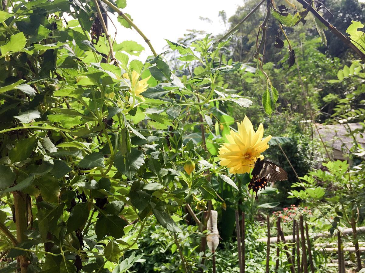 Dinaro Guest Hotel เอลลา ภายนอก รูปภาพ