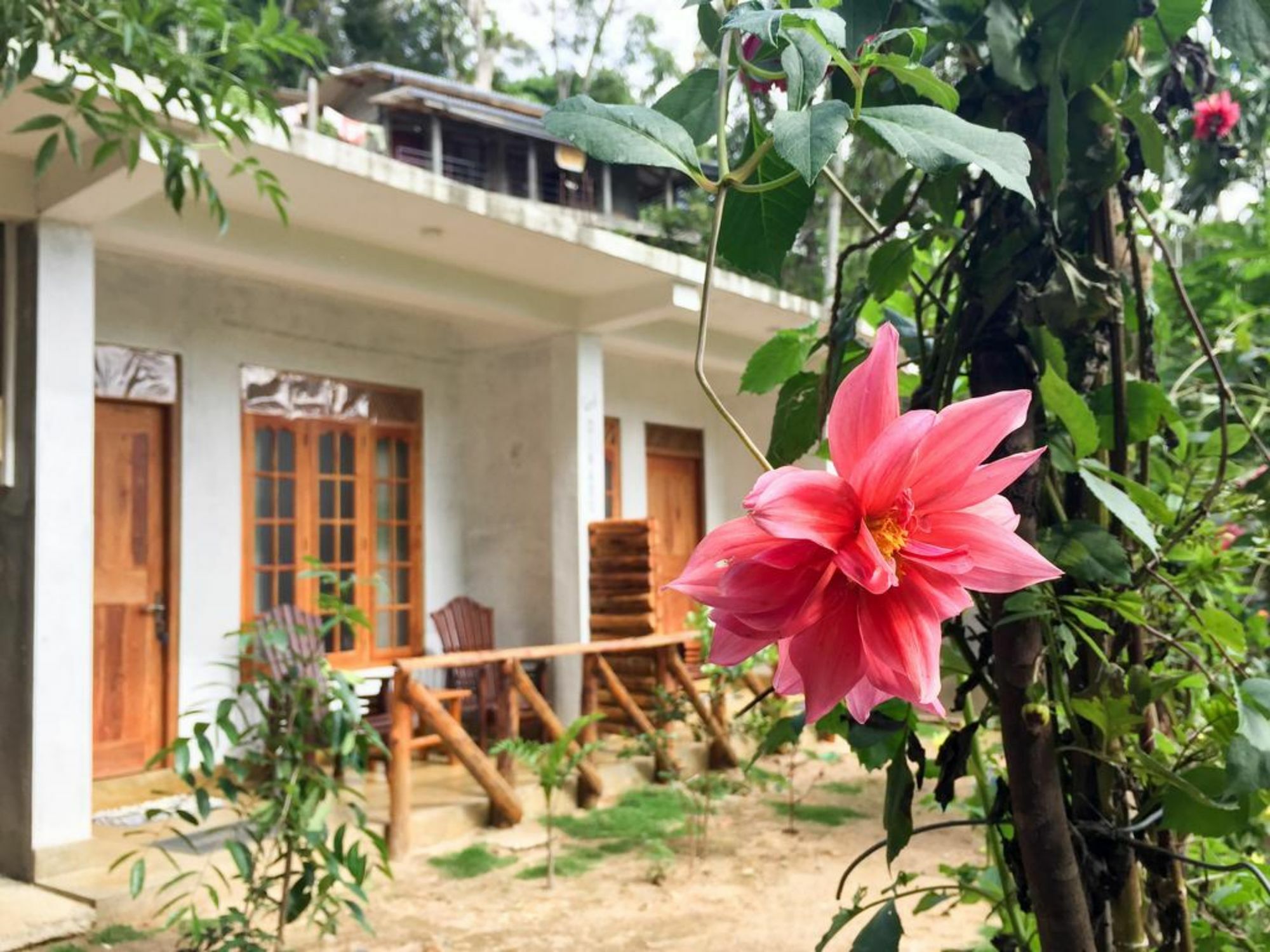 Dinaro Guest Hotel เอลลา ภายนอก รูปภาพ